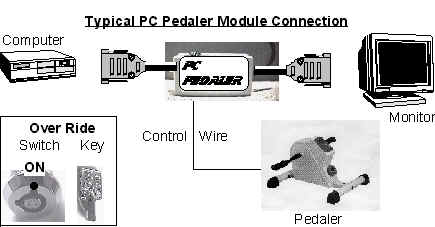 wpe52.jpg (15392 bytes)